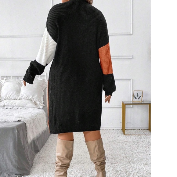 Plus Color Block Knit Long Sleeve Sweater Dress - Picture 5 of 6